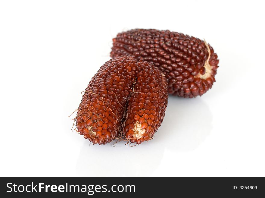 Ornament indian corn isolated