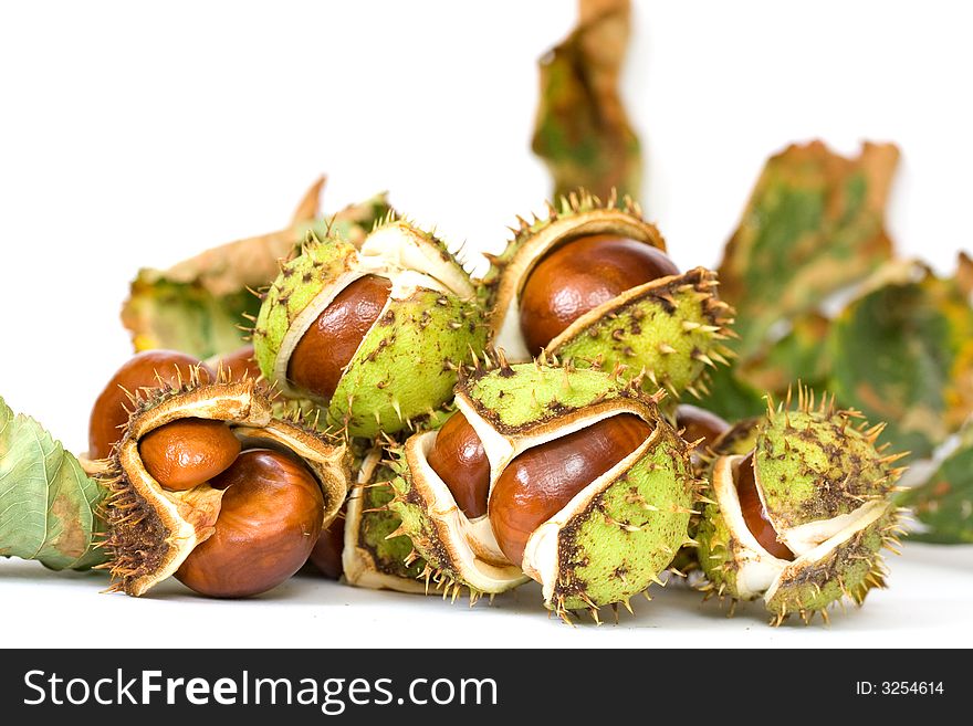 Chestnuts close up isolated with reflection