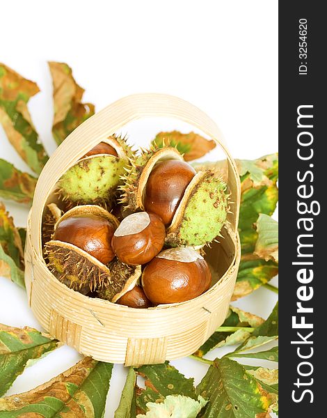 Chestnuts close up isolated with autumn leaves and basket