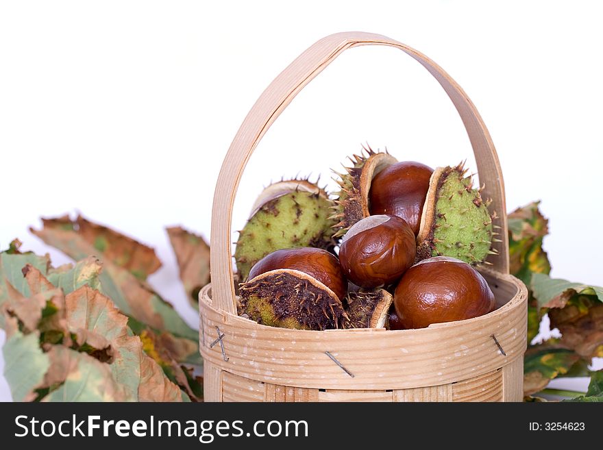 Chestnuts close up isolated with autumn leaves and small basket