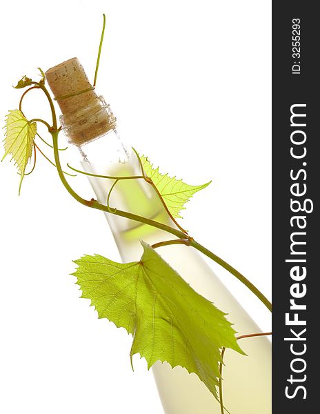 View of corked wine bottle with vine around it on white back. View of corked wine bottle with vine around it on white back