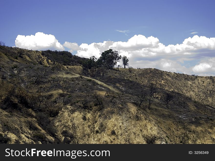 Rain clouds arriving a little too late for this fire ravaged hillside. Rain clouds arriving a little too late for this fire ravaged hillside