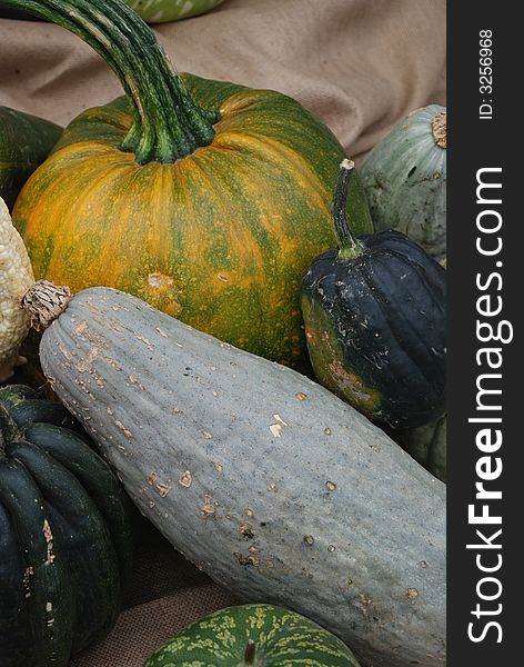 Different kinds of colorful pumpkins on a market