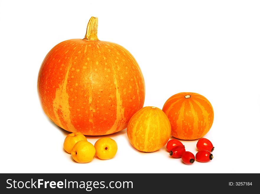 Pumpkins and rose hips