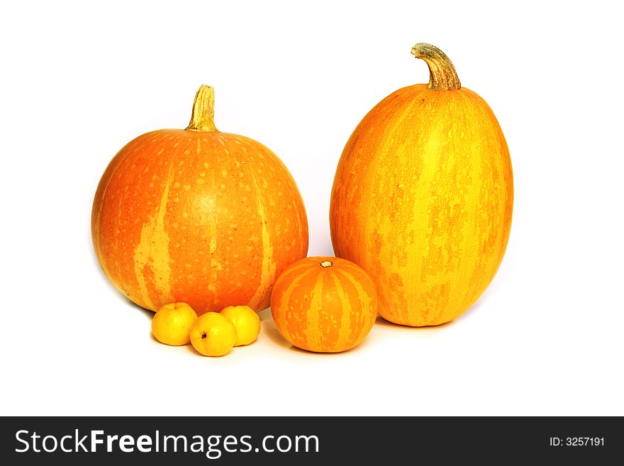 Colorful autumn vegetables - pumpkins and chaenomeles