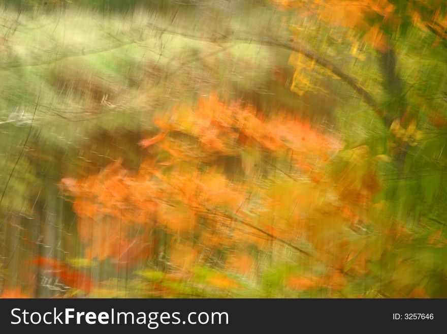 Autumn abstract of blurred leaves