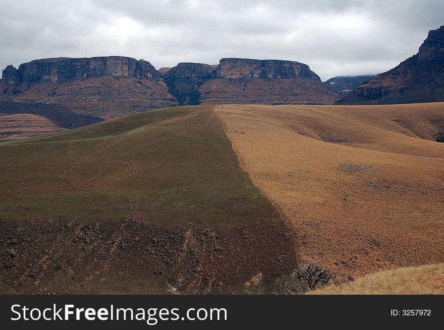 Border between green and yellow grass - South Africa. Border between green and yellow grass - South Africa