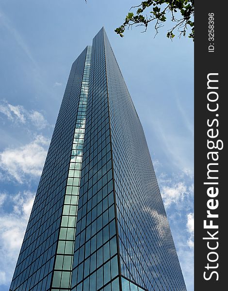 Tall man made skyscraper meets small natural tree, tall majestic Back Bay Skyscraper. Tall man made skyscraper meets small natural tree, tall majestic Back Bay Skyscraper