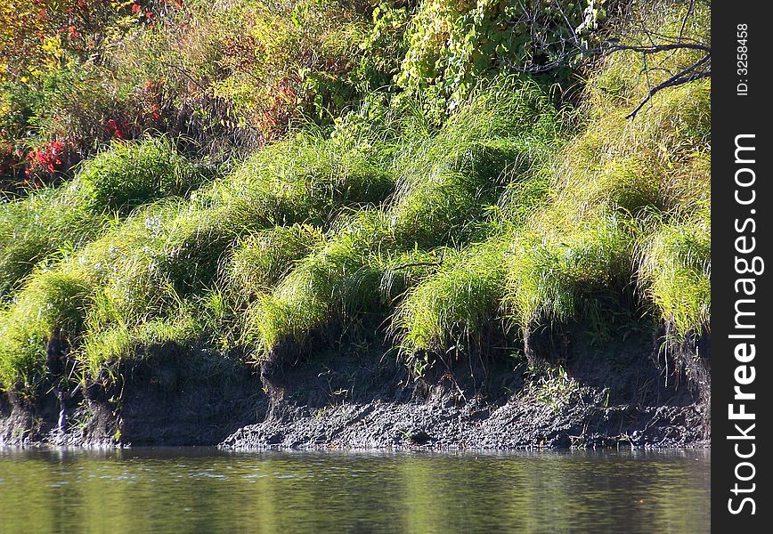 An slowing eroding grassy riverbank.