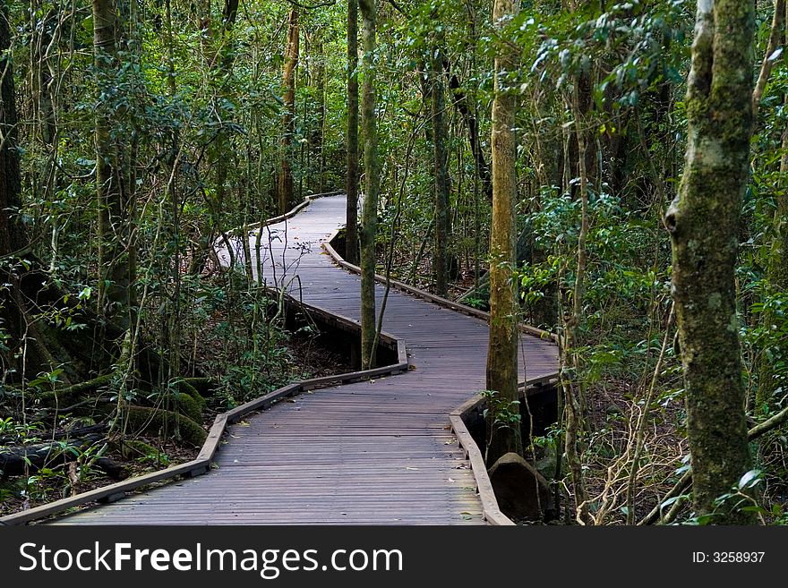 Pathway leading to mysterious places. Pathway leading to mysterious places