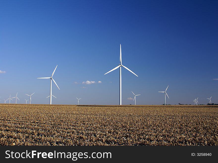 Wind Farm in Central Illinois