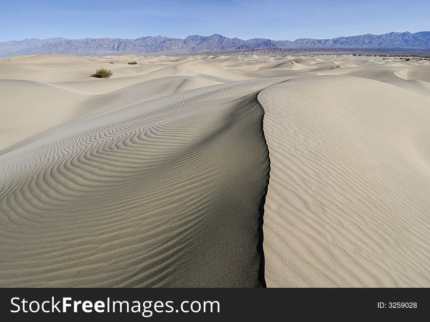 Ridgeline On Rippled Dune