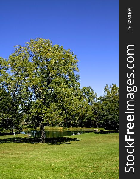 Small pond in a lush green park during bright sunny day