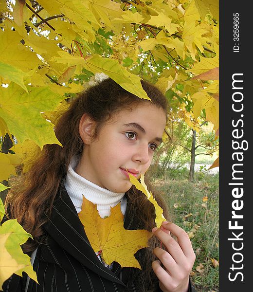 The young girl with yellow leaves in an autumn. The young girl with yellow leaves in an autumn