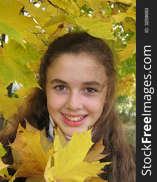 The smile young girl with yellow leaves in an autumn. The smile young girl with yellow leaves in an autumn