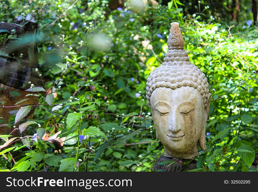 Buddha head statue sourrounded with nature. Buddha head statue sourrounded with nature