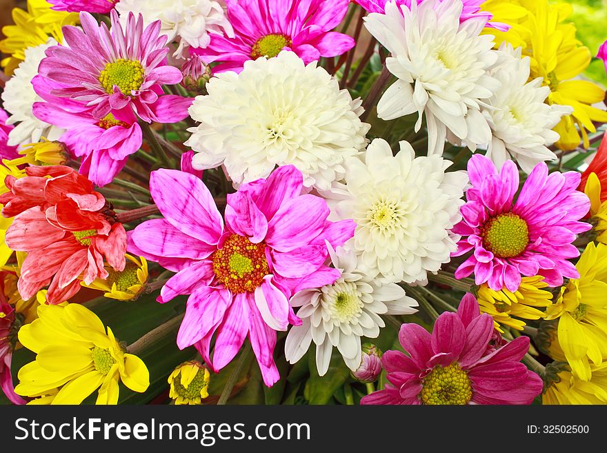 Beautiful bouquet of bright flowers