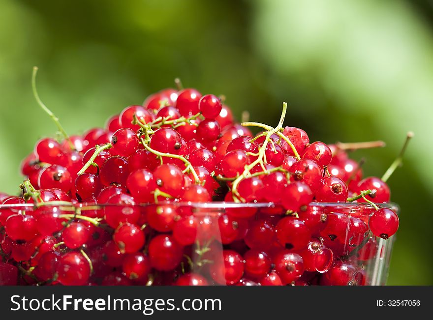 Close up on red currants in a bowl