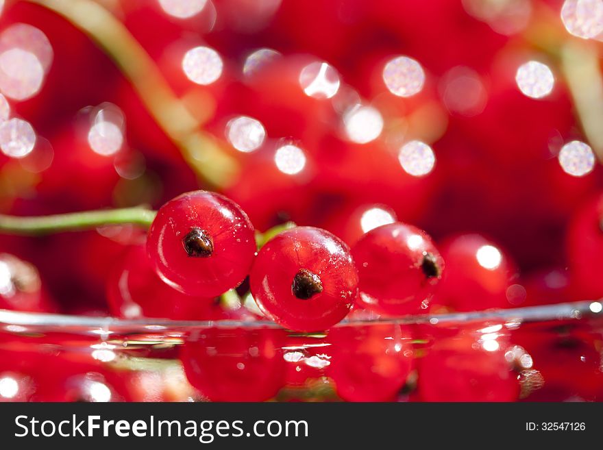 Close up on red currants in a bowl