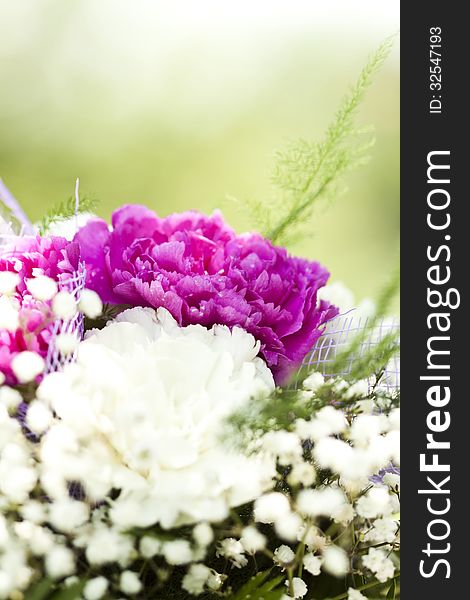 Close up on colorful wedding bouquet made of red and purple flowers