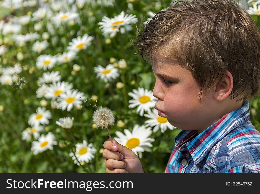 Boy Blowing Dandelion