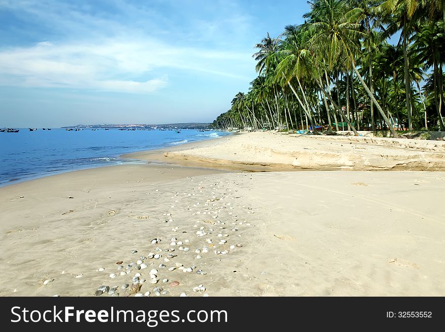 Sandy Beach With Sea And  Palms