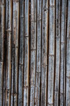 Old Bamboo Fence Stock Image Old Bamboo Fence Stock Image