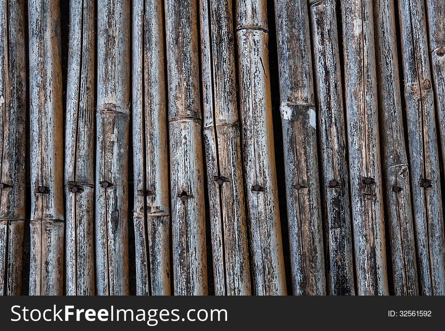 Old Bamboo Fence