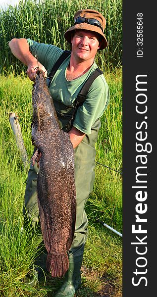 A photo of a fisherman holding up a 12 kg sharp tooth catfish that he caught at a dam. Caught at Rietvlei dam in South Africa on 3 December 2012. A photo of a fisherman holding up a 12 kg sharp tooth catfish that he caught at a dam. Caught at Rietvlei dam in South Africa on 3 December 2012.