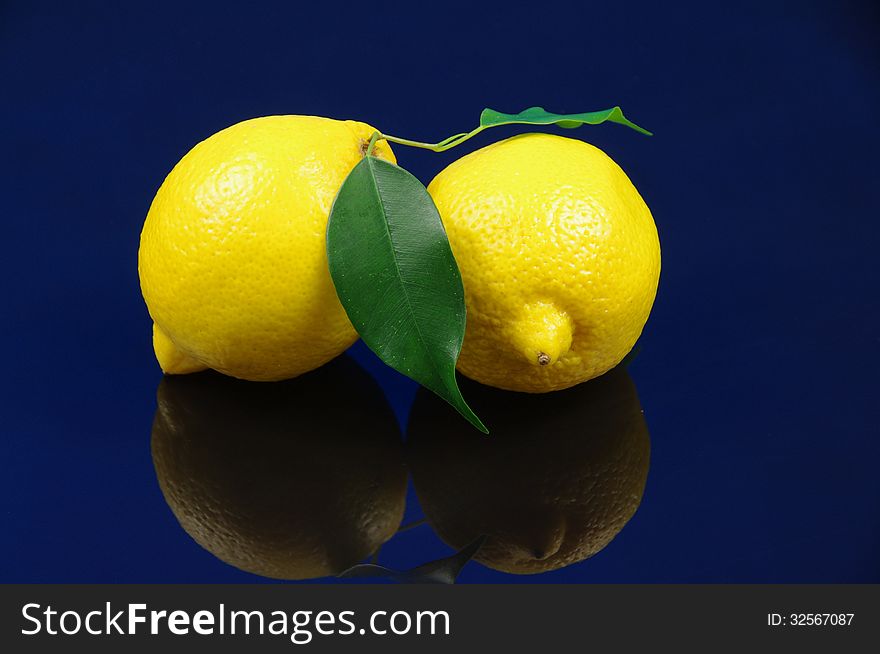 Photo shows the fruits of lemon placed on a blue background. Photo shows the fruits of lemon placed on a blue background.
