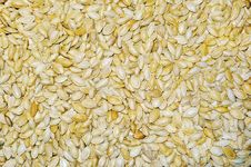 Pumpkin Seeds Stock Photos