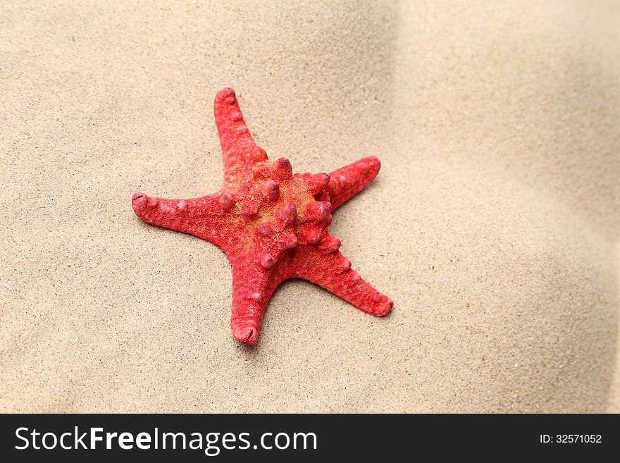 Red starfish on a sand background.
