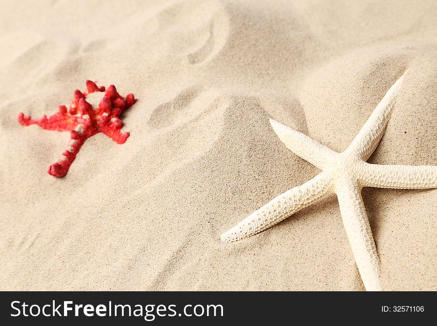 Red And White Starfishes On A Sand Background.