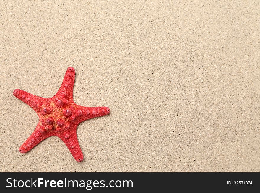 Red Starfish On A Sand Background.