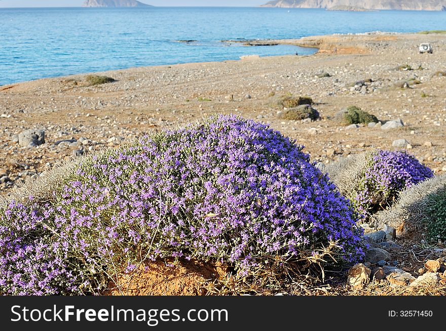Seaside Of Creta Island