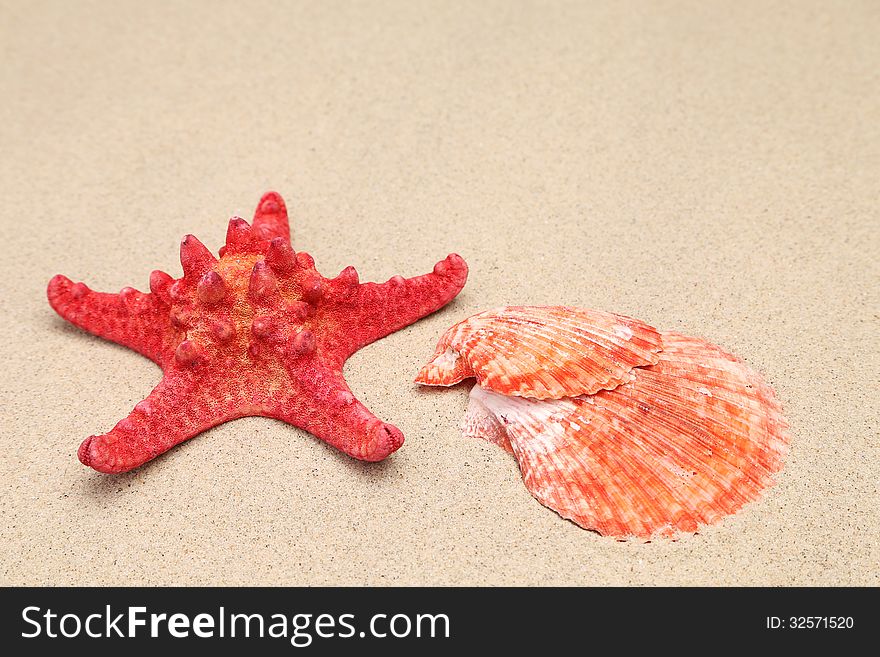 Red starfish and shell on sandy background. See my other works in portfolio.