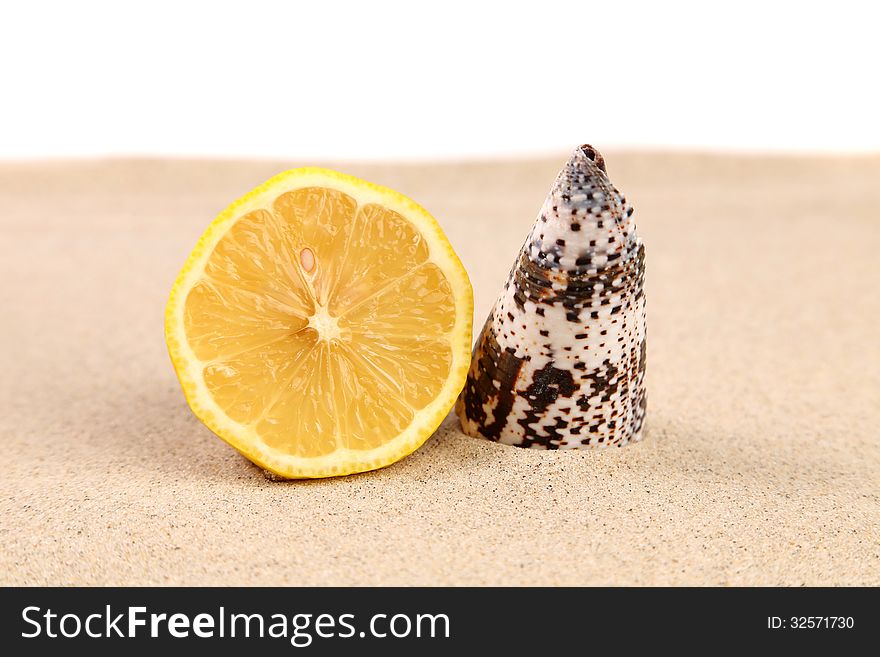 Lime and shell on sand. White background.