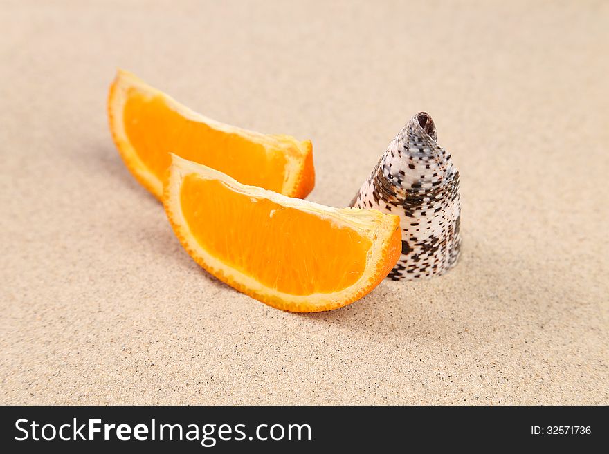 Orange and shell on sand.