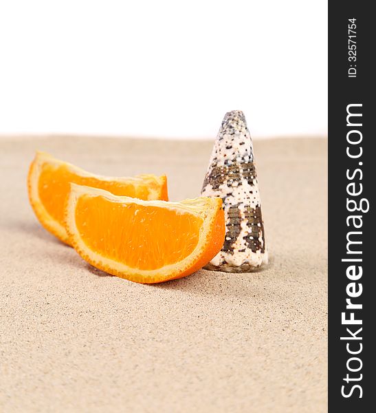 Orange and shell on sand. White background.