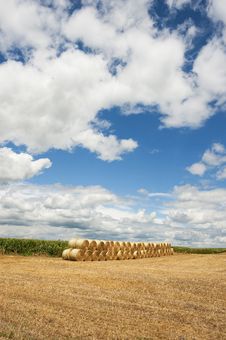 Rolls Of Hay Bales In Field. Royalty Free Stock Photography Rolls Of Hay Bales In Field. Royalty Free Stock Photography