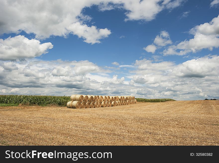 Bales of round hay bales stacked in rows in a Indiana wheat field. Bales of round hay bales stacked in rows in a Indiana wheat field.