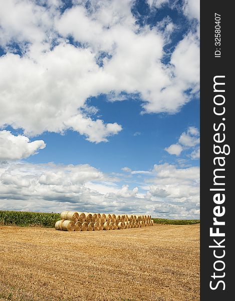 A neat row of hay bales in a midwest farm field. A neat row of hay bales in a midwest farm field.