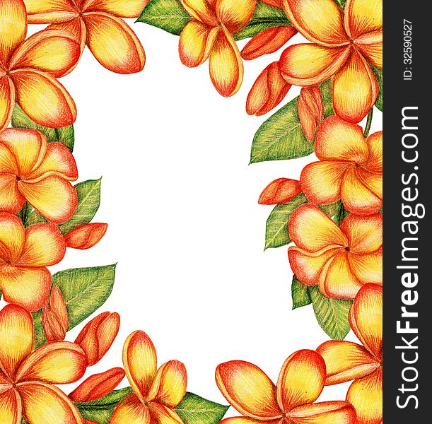 Gentle frame with plumeria flowers. Gentle frame with plumeria flowers