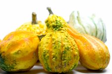 Mini Pumpkins Stock Images Mini Pumpkins Stock Images