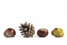 Composition Of Crone And Chest Royalty Free Stock Photography Composition Of Crone And Chest Royalty Free Stock Photography