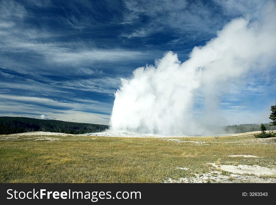 Old Faithful At Yellowstone NP