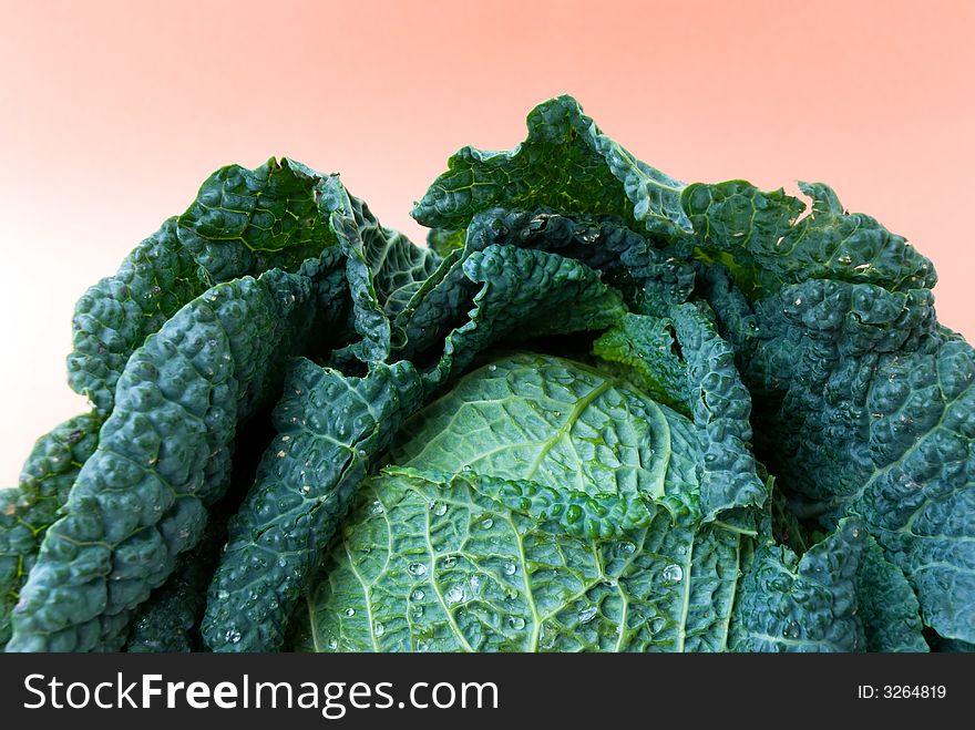 Fresh   cabbage.a close-up shot.