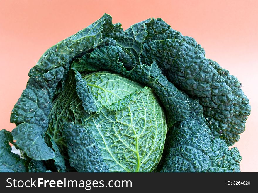 Fresh   cabbage.a close-up shot.