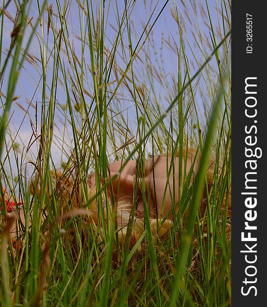 Young woman sleeping in the grass in a beautiful summer day.