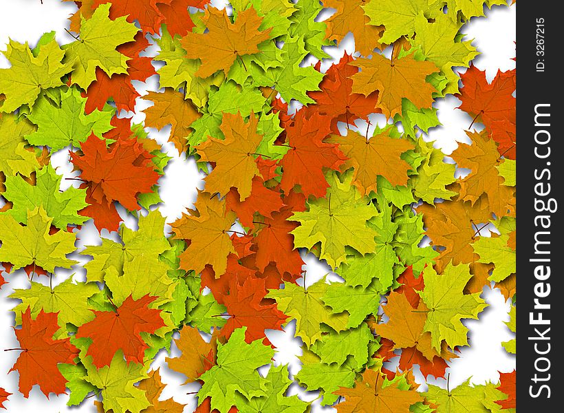 Autum Background with colorful fall leaves falling down from tree